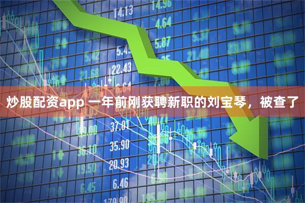 炒股配资app 一年前刚获聘新职的刘宝琴，被查了