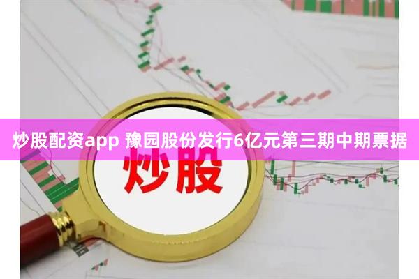 炒股配资app 豫园股份发行6亿元第三期中期票据